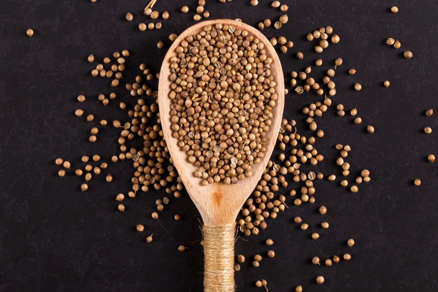 Coriander Seeds