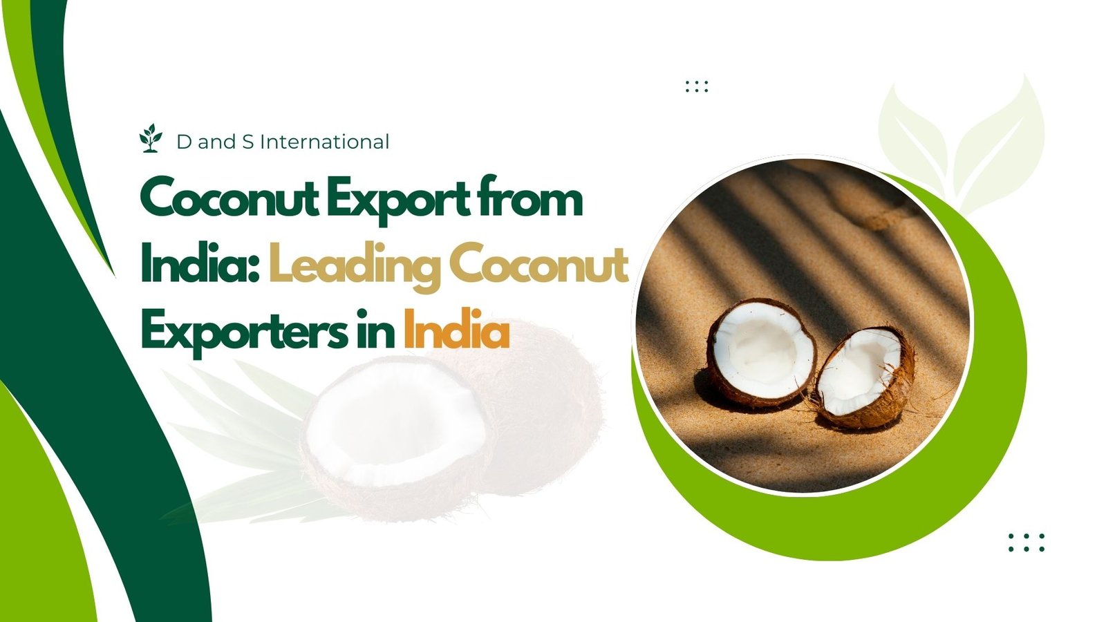 Coconut Export from India | Top Coconut Exporters in India