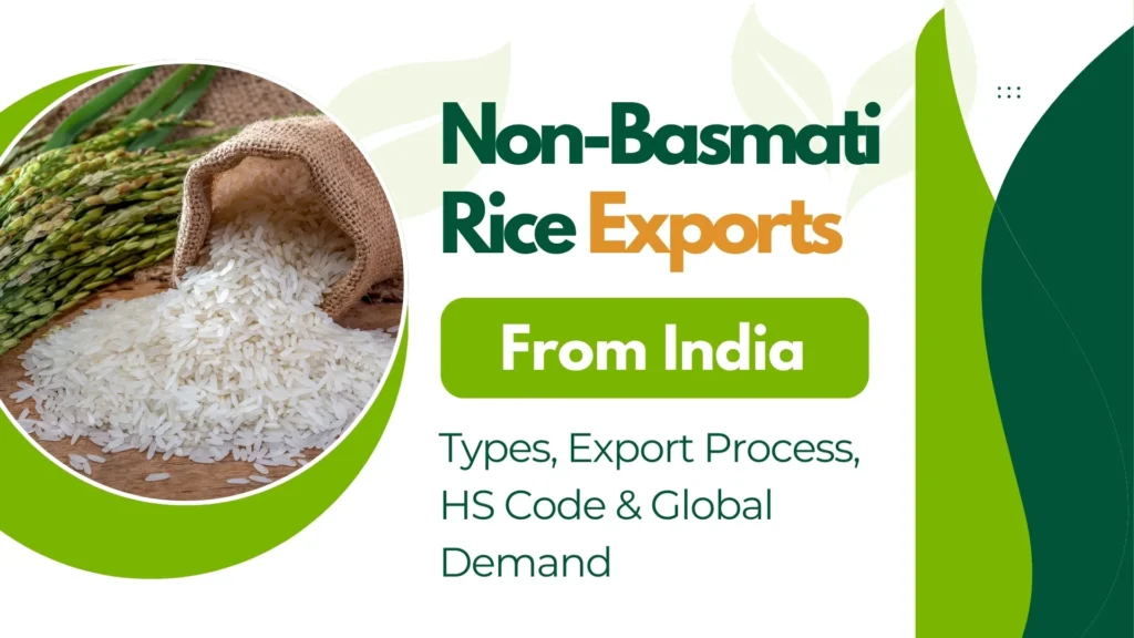 Non-Basmati Rice Exports