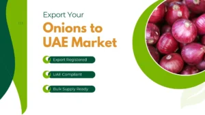 Export Your Onions to UAE Market.jpg