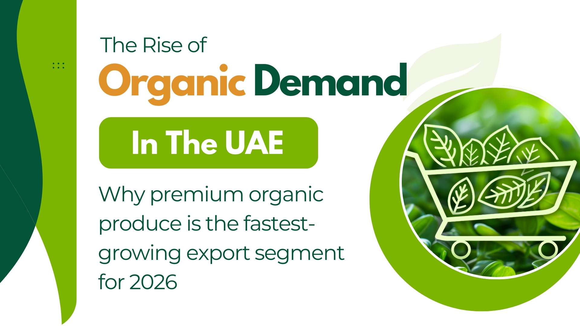 Organic Produce UAE 2026 | Premium Organic Food Export Demand