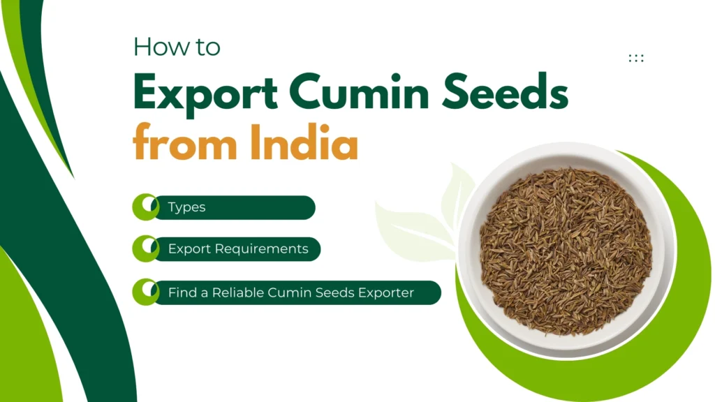 Export Cumin Seeds from India.jpg