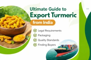 Guide to Export Turmeric from India.
