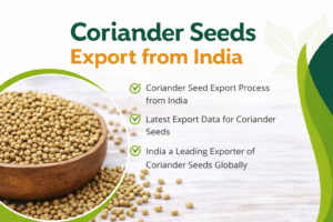 Coriander seeds export from India