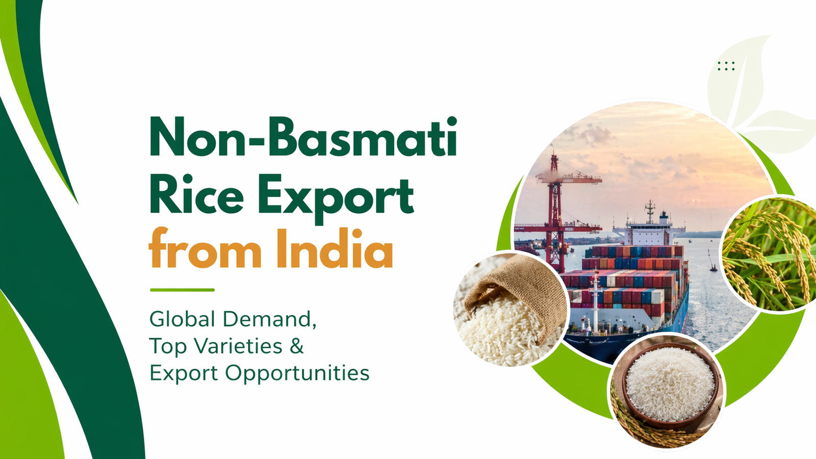 Non-Basmati Rice Export from India: A Full Detailed Guide