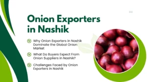 Top Onion Exporters in Nashik – Fresh Red Onion Suppliers From India