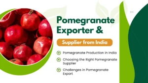 Pomegranate Exporter and Supplier from India