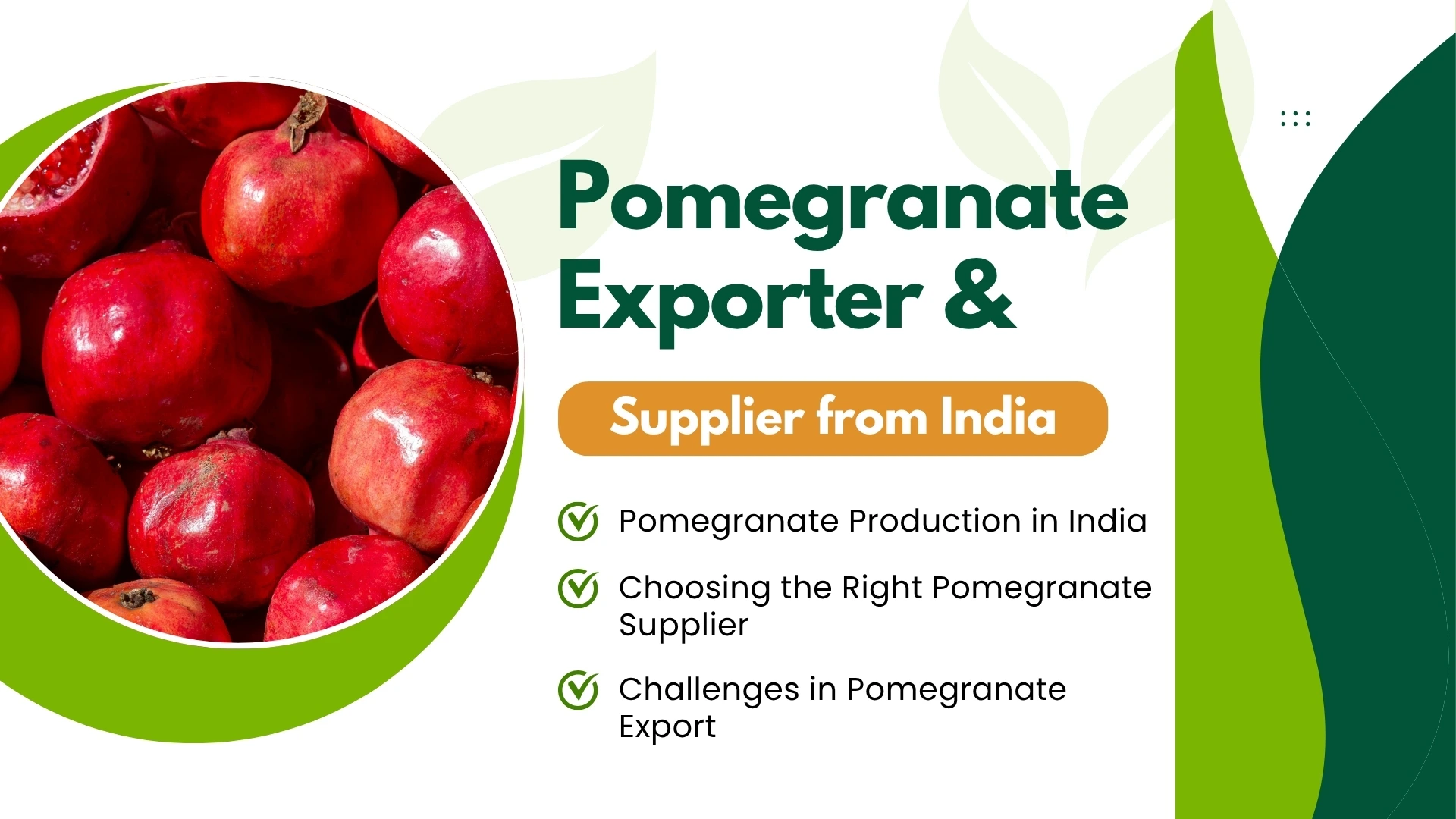 Pomegranate Exporter.webp