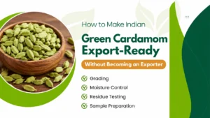 How to Make Indian Green Cardamom Export-Ready Without Becoming an Exporter