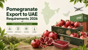 Pomegranate Export from India to UAE in 2026: Requirements, Documents & Buyer Guide