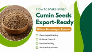 How to Make Indian Cumin Seeds Export-Ready Without Becoming an Exporter