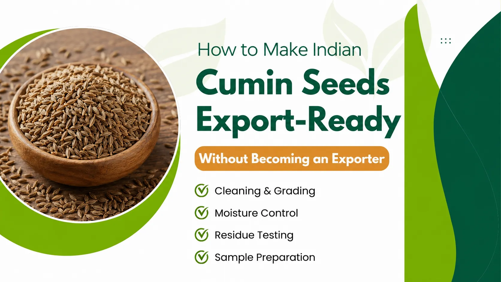 Indian cumin seeds export-ready guide for producers and bulk suppliers